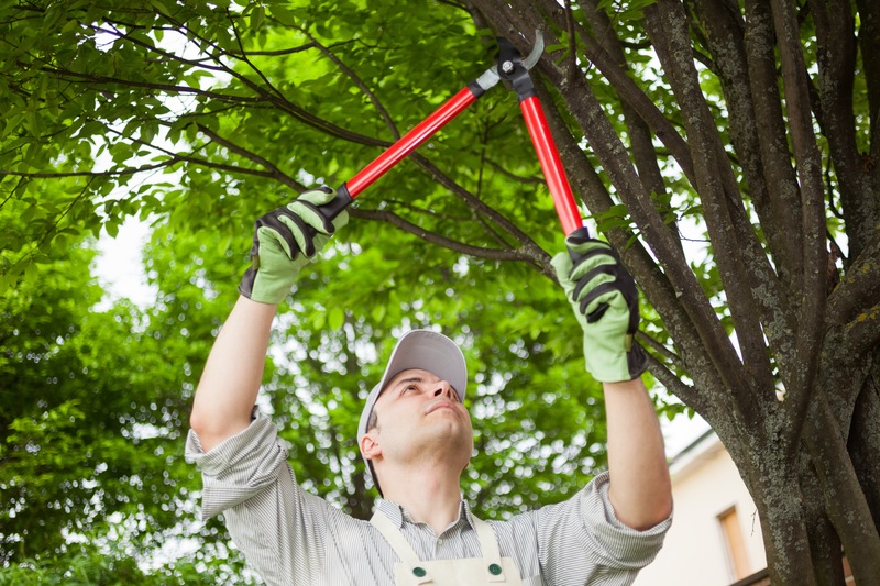 Debris Removal In Niceville Florida