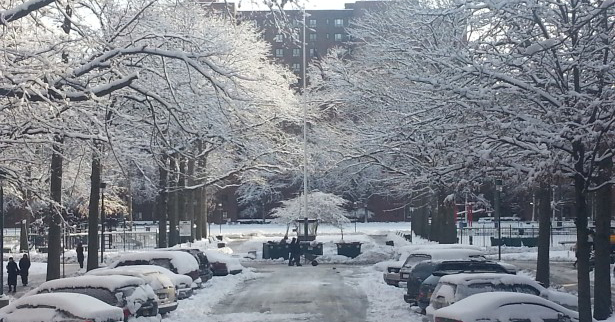 Snow Removal Bronx NY